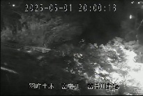富来川桜橋 のカメラ画像