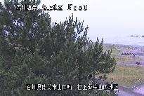 根上海岸 のカメラ画像