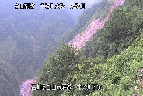 中ノ川下流 のカメラ画像
