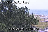 根上海岸 のカメラ画像