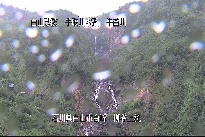 柳谷上流 のカメラ画像