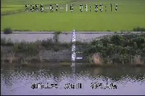 神代大橋 のカメラ画像