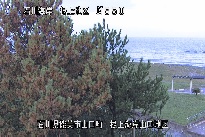 根上海岸 のカメラ画像
