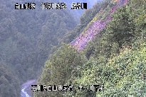中ノ川下流 のカメラ画像