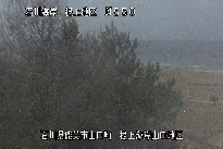 根上海岸 のカメラ画像