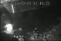 笹川橋 のカメラ画像