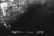 上野橋 のカメラ画像