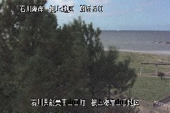C ̃J摜