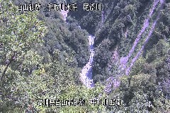 m㗬 ̃J摜