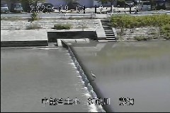  ̃J摜